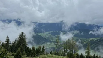 Expose 8,7 ha Wald mit Hüttenplatzmöglichkeit