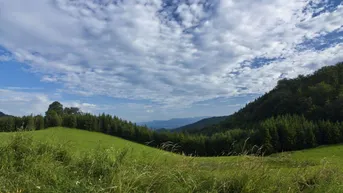Expose Bauernhof mit 45 ha Wald, 14 ha Wiesen - Graz Umgebung