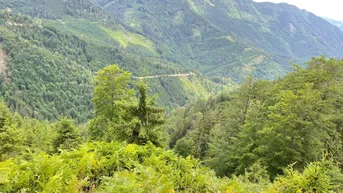 Expose 960 ha Rotwildjagdpacht Steiermark/OOE