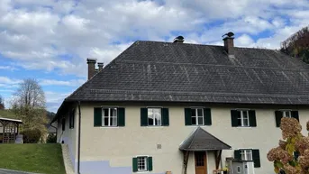 Expose 5 ha Pferdehof nahe Graz