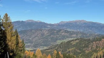 Expose 57 ha Wald mit hohem Altholzbestand