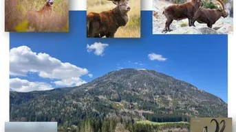 Expose Herrschaftlicher Forstbesitz mit hoher Jagd zum Verkauf