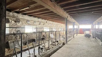 Expose 13 ha Landwirtschaft für Direktvermarktung und arrondierter Panoramalage
