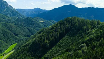 Expose 137 ha Forstbesitz/Jagdfläche 220 ha/großer Wirtschaftswald, nahe Teichalm