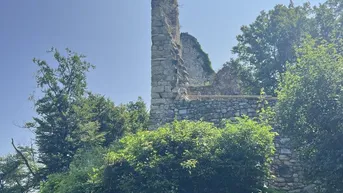 Expose 180 ha Eigenjagd mit historischer Ruine, Panorama über Graz