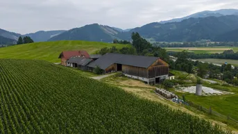 Expose Bauernhof mit Hofgebäuden, teilbar und Top Panoramalage