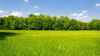 Expose ++Gewerbefläche ab 5.000 m² in unmittelbarer Nähe zur S36++