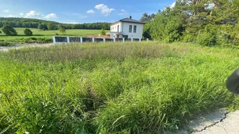 Expose Traumhaftes Baugrundstück in Siegenfeld