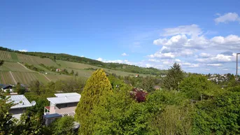 Expose Kleingarten-Pachtgrundstück in Top Grün-Ruhelage mit Weinbergblick! Angebotsverfahren!