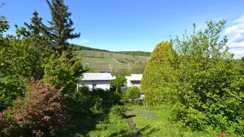 Expose Kleingartenidylle mit Weinbergblick – nettes Sommerhäuschen mit Potenzial für Neubau! Digitales Angebotsverfahren!