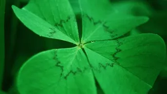 Expose Waldparzellen in Alpbach
