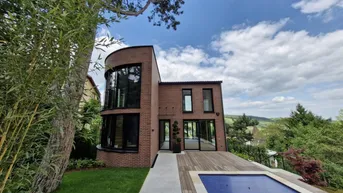 Expose Architektenhaus - Pool - Weinbergblick
