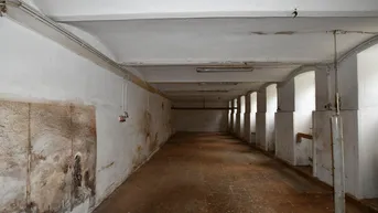 Expose Werkstatt in Kaisermühlen