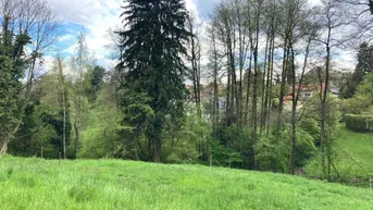 Expose Graz-Rosenberg: Wohnen, wo andere spazieren gehen – Sonniges Baugrundstück in Toplage nähe Hilmteich!