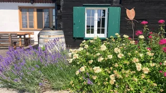 Expose Residieren im Kirschendorf der Steiermark – Ihr neues Zuhause mit Weinkeller, Swim-Spa und einem sensationellen Rund-um-Blick!