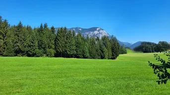 Expose Grundstück in Alleinlage "wie auf der Alm"