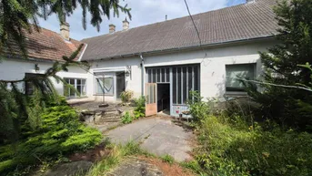 Expose großes Mehrfamilienhaus mit riesigem Grundstück 2500 m², 300 m" Wohnnutzfläche Provisionsfrei