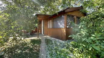 Expose Baugrund mit Sommerhaus und Obstbäumen
