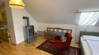 Expose Neuer Preis! - Loftwohnung in historischer Villa mit Garten - Ruhe &amp; Lebensqualität im Ausseerland