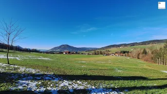 Expose Zweitwohnsitz im schönen Mondseeland - Dachgeschoss in absoluter Ruhelage - Baubeginn erfolgt! *provisionsfrei*