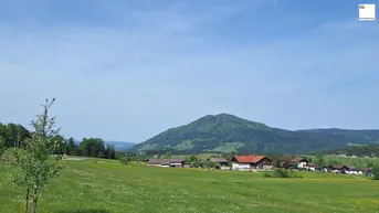 Expose Wohnen am Waldesrand im schönen Mondseeland - Ruhelage - Baubeginn erfolgt! *provisionsfrei* Zweitwohnsitz