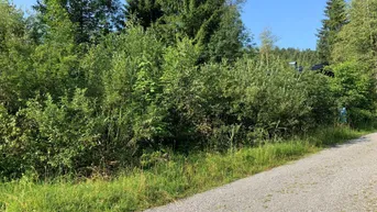 Expose Nimm doch mal eine Auszeit: Grundstück mit Ferienwidmung