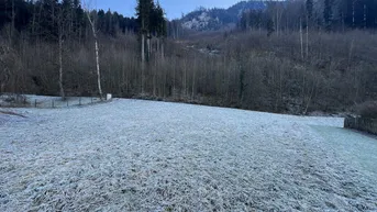 Expose Tolles Grundstück in ruhiger Lage