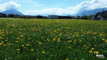Weitläufiges Grundstück mit Löwenzahnwiese, umgeben von Wohnhäusern und einer beeindruckenden Bergkulisse.