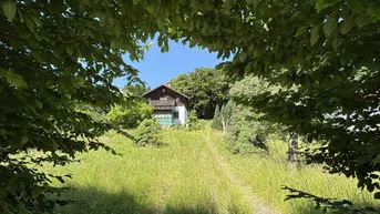 Expose SCHULTZ IMMOBILIEN - Traumhaftes Baugrundstück in Mauerbach – 1.771 m² für Ihr Eigenheim!