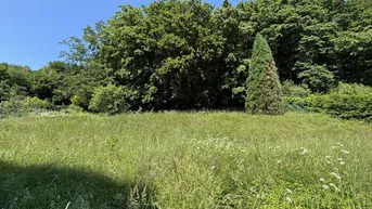 Expose SCHULTZ IMMOBILIEN - Traumhafte(s) Baugrundstück(e) in Mauerbach – Gesamtfläche ca. 1.771 m² bestehend aus 2 nebeneinander liegenden Grundstücken - ab € 324.500,-