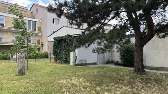 Expose SCHULTZ IMMOBILIEN - Gemütliche 2-Zimmer Wohnung im Dachgeschoss mit Fernblick!