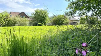 Expose Neuer Preis - Leben in den Traunauen! Grundstück in Thalheim-Schauersberg