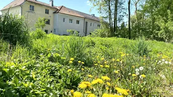 Expose Leben in den Traunauen! Grundstück in Thalheim-Schauersberg