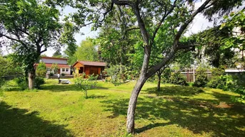 Expose Großzügiges Kleingartengrundstück mit Sommerhäuschen! Ganzjährig bewohnbar!