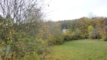 Expose WUNDERSCHÖNER (BAU)GRUND rd. 4.800 m2 WALDRANDLAGE, GUT TEILBAR FÜR FAMILIEN UND FREUNDE - GETRENNT UND DOCH ZUSAMMEN
