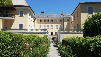 Expose Palais Trapp - mitten im Zentrum 
2 Räume zur Vermietung als Büro 