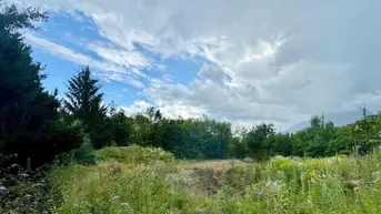 Expose Baugrund in Anif mit Blick auf den Untersberg