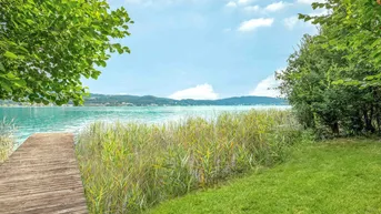 Idyllischer Holzsteg am Ufer eines klaren Sees, umgeben von Schilf und grüner Natur.