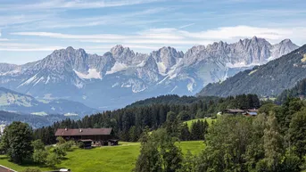 Weitläufiger Panoramablick auf die majestätische Berglandschaft mit grünen Wiesen und Wäldern.