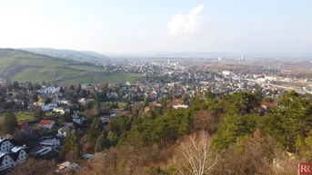Expose Über den Dächern - mit Weitblick auf Klosterneuburg