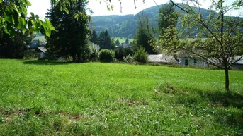 Expose RUHELAGE - Sonniges Grundstück mit Aussicht in Semriach!