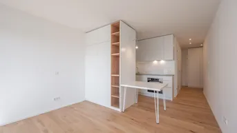 Expose Projekt Schön102: teilmöblierte praktische Single Hit Wohnung mit Loggia - 4.OG - ab 1.11
