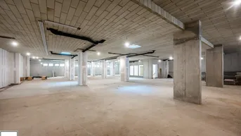 Expose Apollogasse: ERSTBEZUG zu mieten: rd. 920 m² Gewerbefläche im EG + großzügige Lagerfläche und Garage im UG // Edelrohbau
