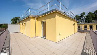 Expose Wohnpark Neulengbach | Erstbezug | DG | 48 m² Terrasse