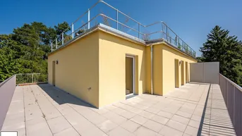 Expose Wohnpark Neulengbach | Erstbezug | DG | 48 m² Terrasse
