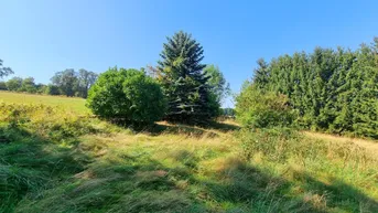 Expose großes Baugrundstück mit tollem Ausblick!