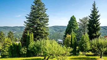 Expose Idylle pur mitten im Wienerwald: Baugrund mit Fernblick! (DAVE)