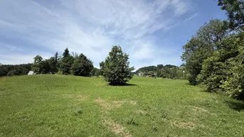 Expose Grundstück | Götzner Berg | 2.525 m²