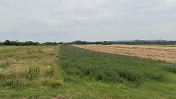 Expose Großzügige Gewerbefläche in Antau: 24.561 m² für VB 1,2 Mio. €