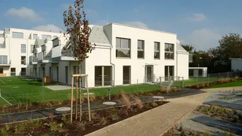 Expose BEZUGSFERTIG! sonnige und gut aufgeilte 2-Zimmer-Wohnung mit Balkon und Garten_T15_Kleegarten 
